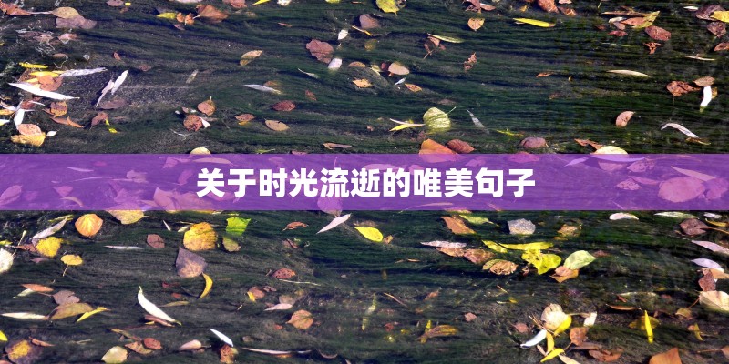 关于时光流逝的唯美句子 关于时光流逝的唯美句子