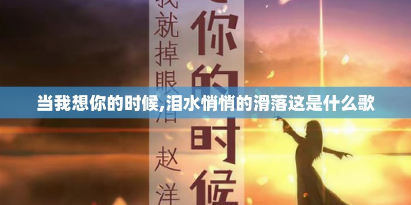当我想你的时候,泪水悄悄的滑落这是什么歌