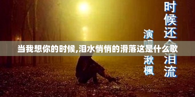 当我想你的时候,泪水悄悄的滑落这是什么歌