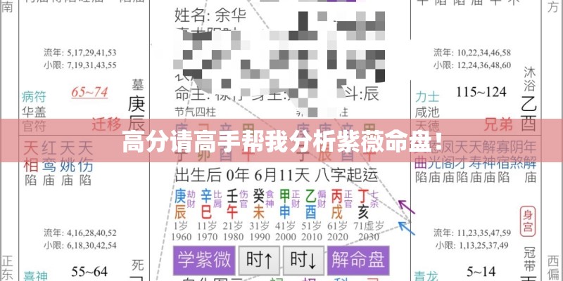 高分请高手帮我分析紫薇命盘！