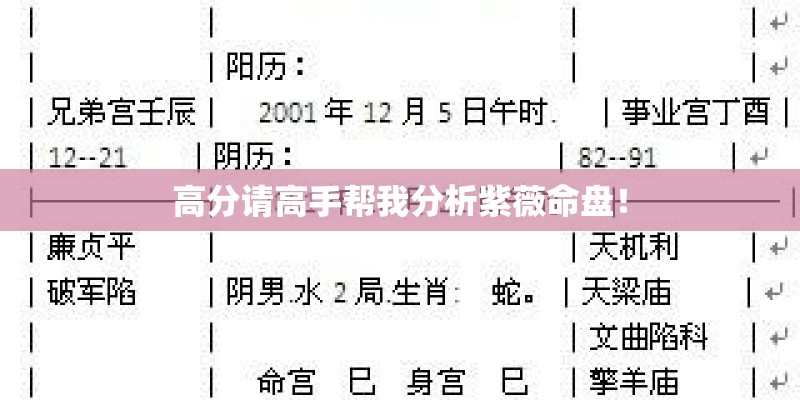高分请高手帮我分析紫薇命盘！