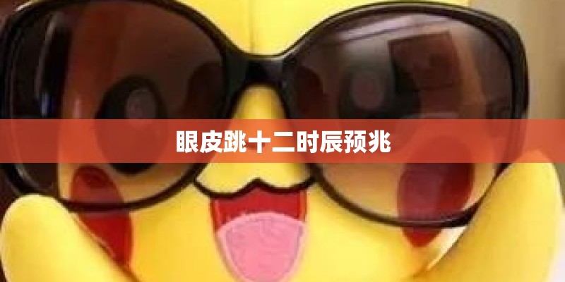 眼皮跳十二时辰预兆