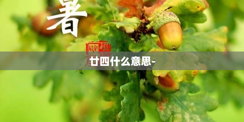 廿四什么意思-