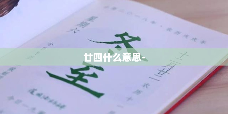 廿四什么意思-