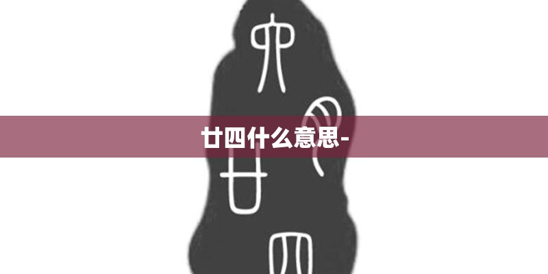 廿四什么意思-