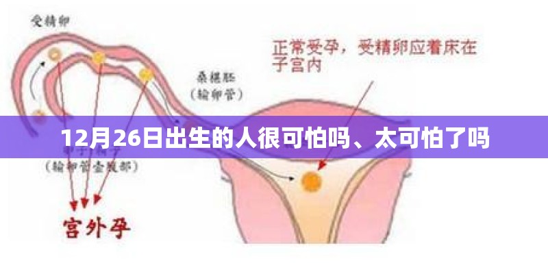 12月26日出生的人很可怕吗、太可怕了吗