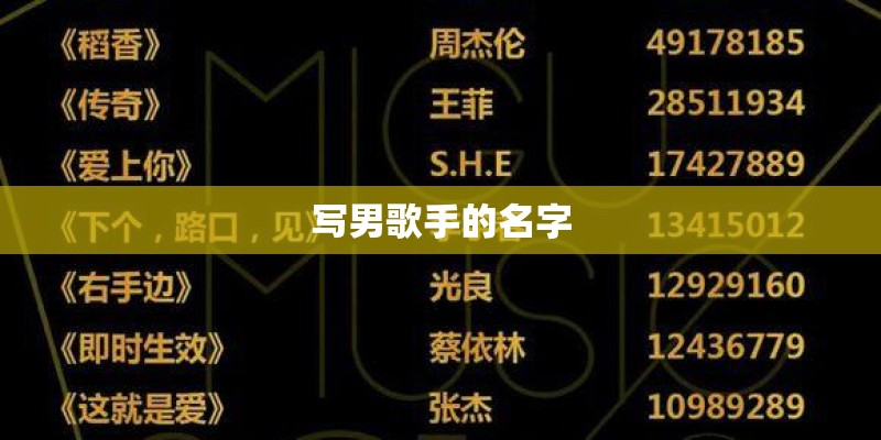 写男歌手的名字
