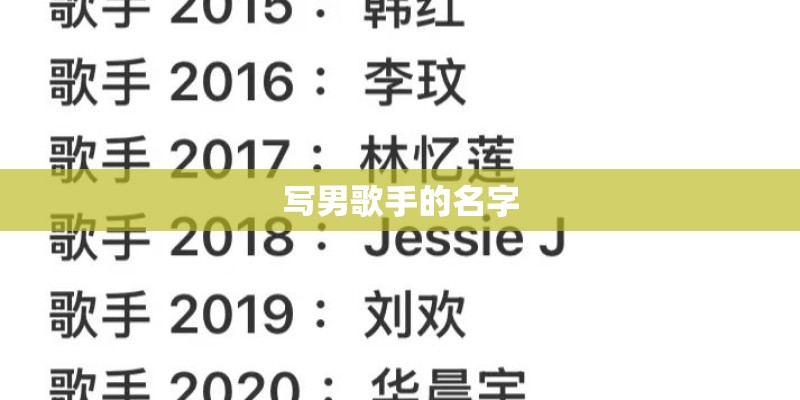 写男歌手的名字