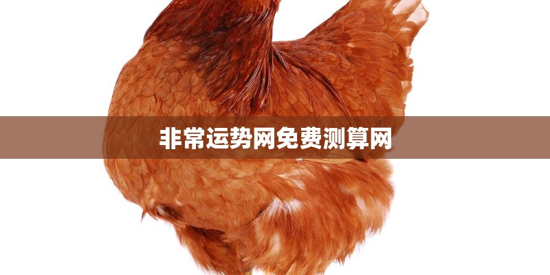 非常运势网免费测算网