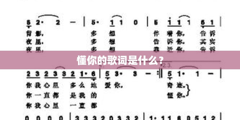 懂你的歌词是什么？