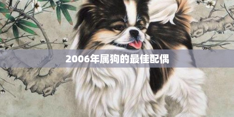 2006年属狗的最佳配偶