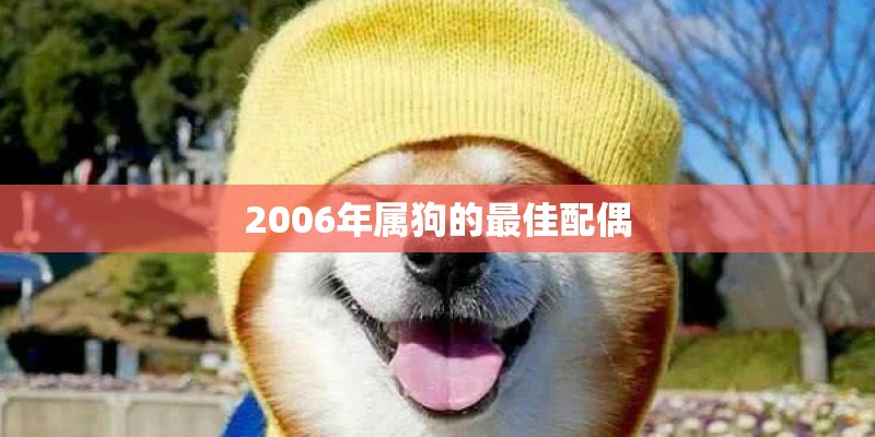 2006年属狗的最佳配偶