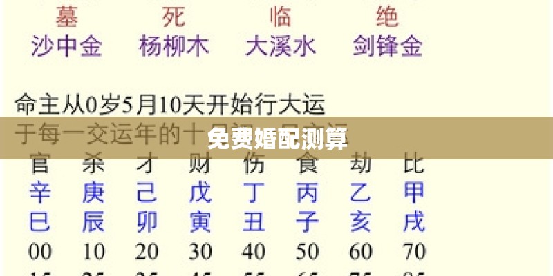 免费婚配测算