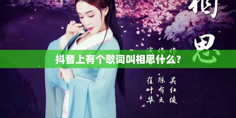 抖音上有个歌词叫相思什么？