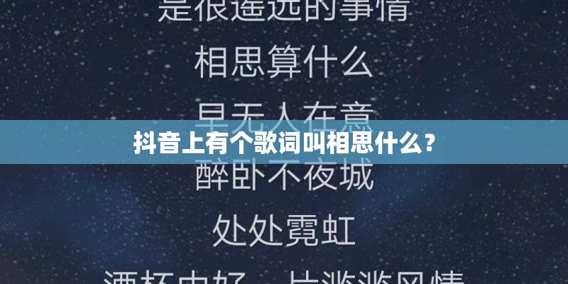 抖音上有个歌词叫相思什么？