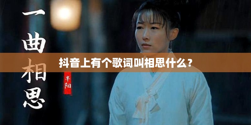 抖音上有个歌词叫相思什么？