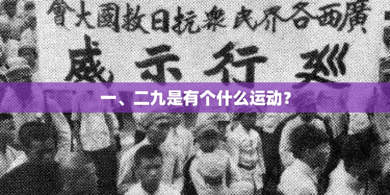 一、二九是有个什么运动？