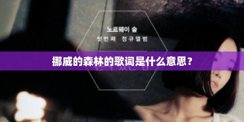 挪威的森林的歌词是什么意思？