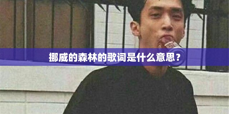 挪威的森林的歌词是什么意思？