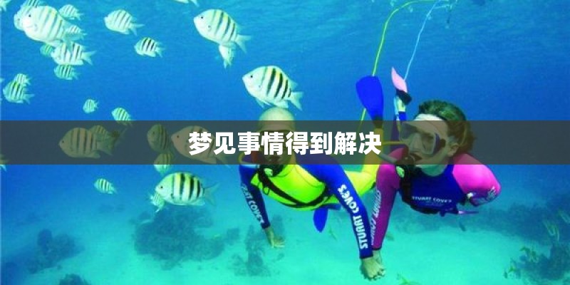 梦见事情得到解决 梦见事情得到解决