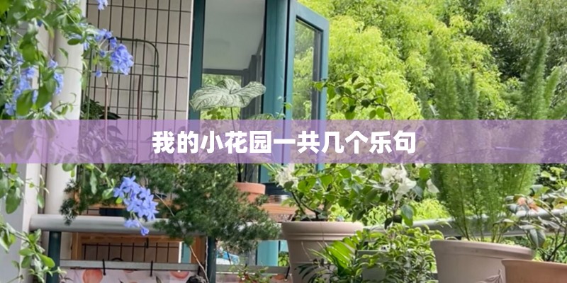 我的小花园一共几个乐句