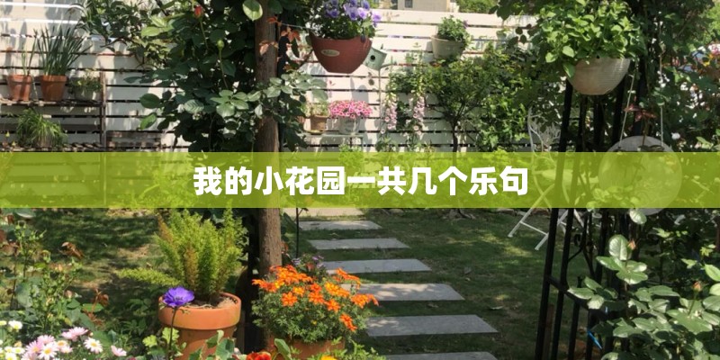 我的小花园一共几个乐句