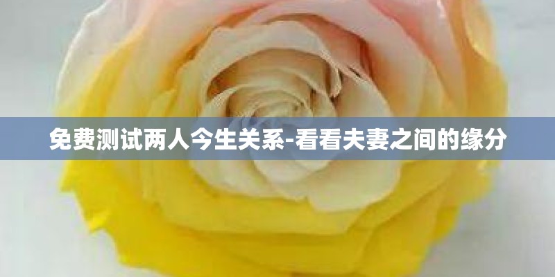 免费测试两人今生关系-看看夫妻之间的缘分