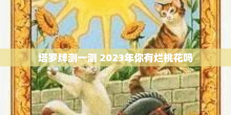 塔罗牌测一测 2023年你有烂桃花吗