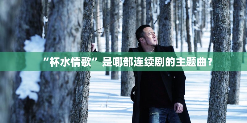 “杯水情歌”是哪部连续剧的主题曲？