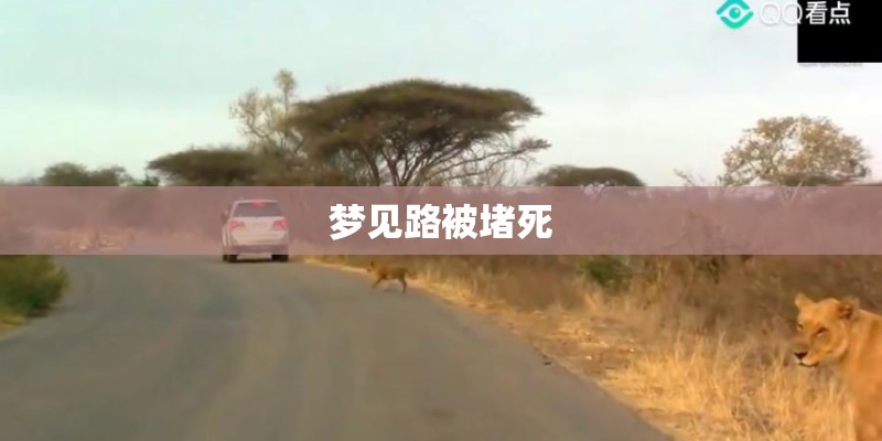 梦见路被堵死