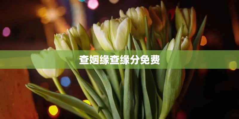 查姻缘查缘分免费