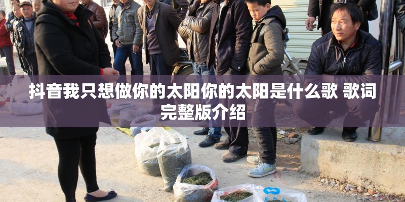 抖音我只想做你的太阳你的太阳是什么歌 歌词完整版介绍