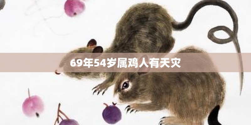 69年54岁属鸡人有天灾