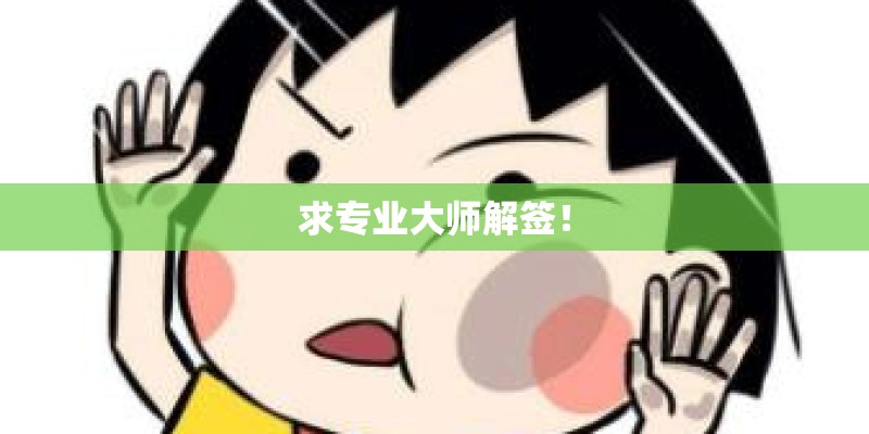 求专业大师解签！