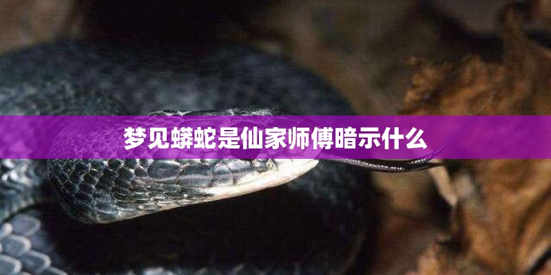 梦见蟒蛇是仙家师傅暗示什么