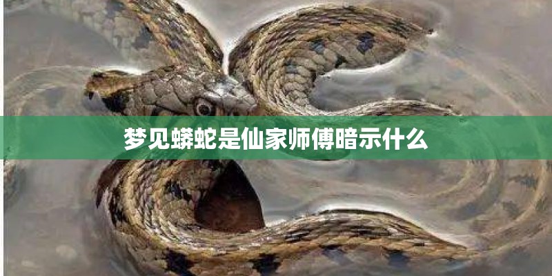 梦见蟒蛇是仙家师傅暗示什么