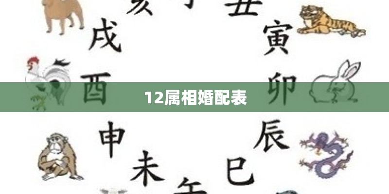 12属相婚配表