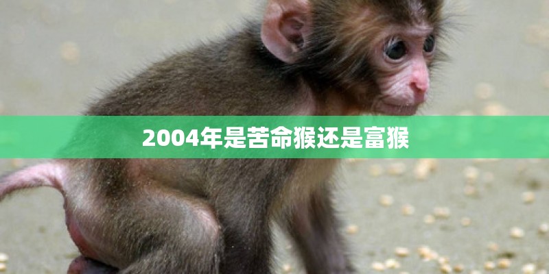 2004年是苦命猴还是富猴