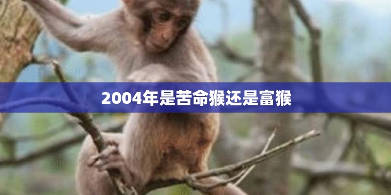 2004年是苦命猴还是富猴
