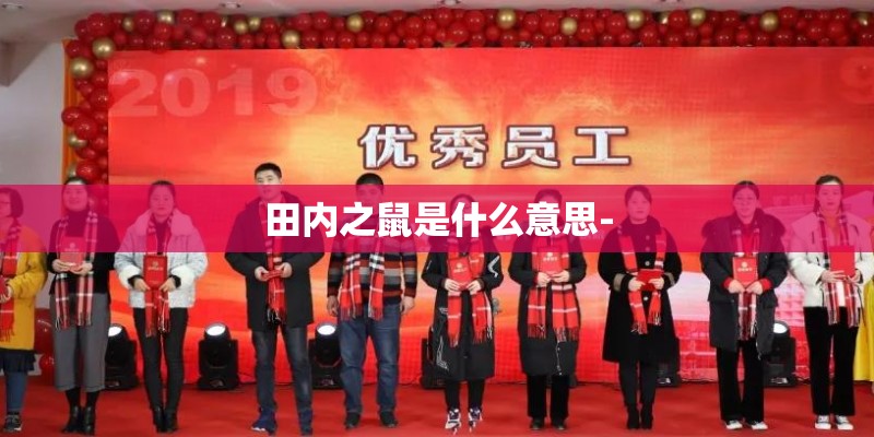 田内之鼠是什么意思-