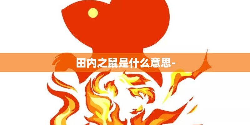 田内之鼠是什么意思-