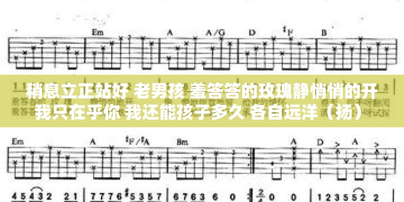 稍息立正站好 老男孩 羞答答的玫瑰静悄悄的开 我只在乎你 我还能孩子多久 各自远洋(扬) 吉他谱 稍息立正站好 老男孩 羞答答的玫瑰静悄悄的开 我只在乎你 我还能孩子多久 各自远洋(扬) 吉他谱