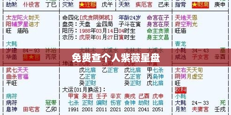 免费查个人紫薇星盘