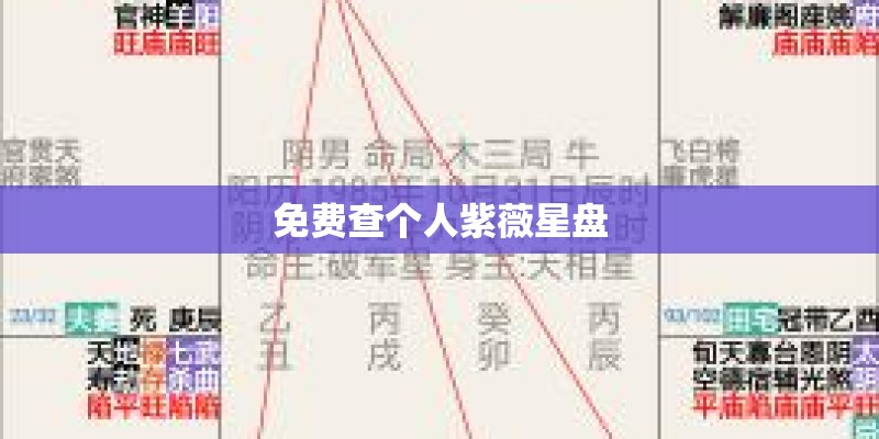 免费查个人紫薇星盘
