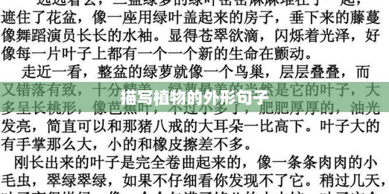 描写植物的外形句子 描写植物的外形句子