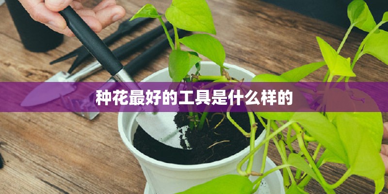 种花最好的工具是什么样的