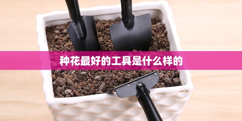 种花最好的工具是什么样的