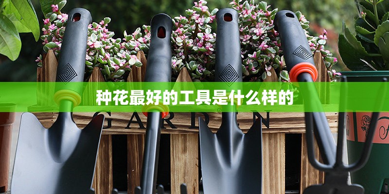 种花最好的工具是什么样的