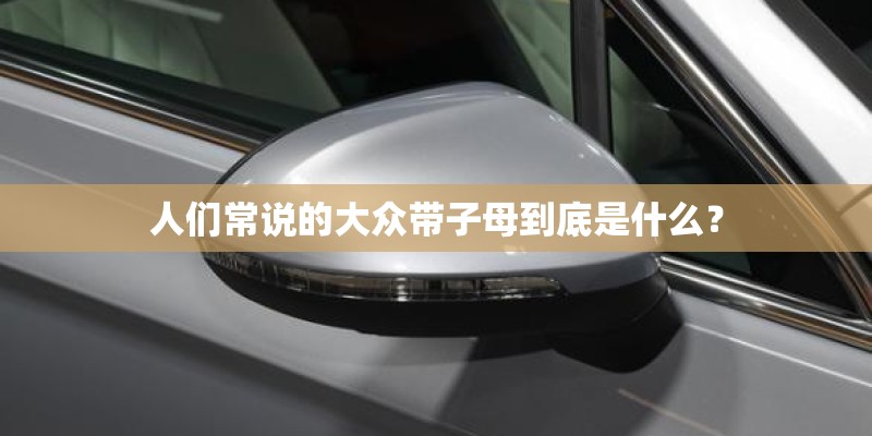 人们常说的大众带子母到底是什么？