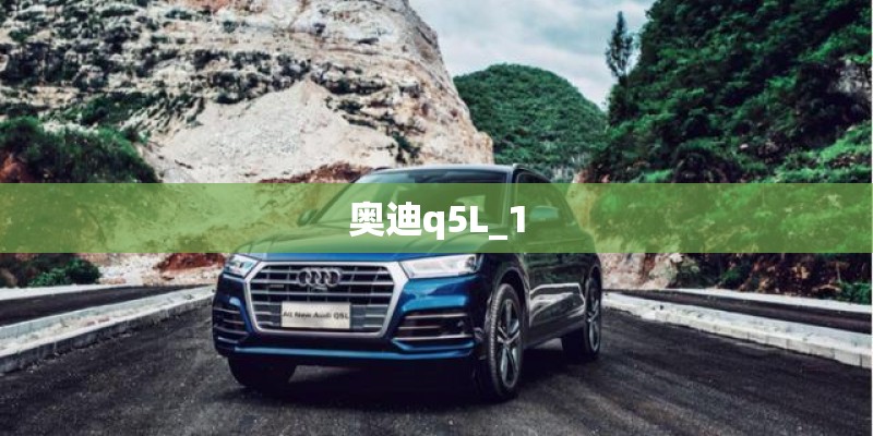 奥迪q5L_1